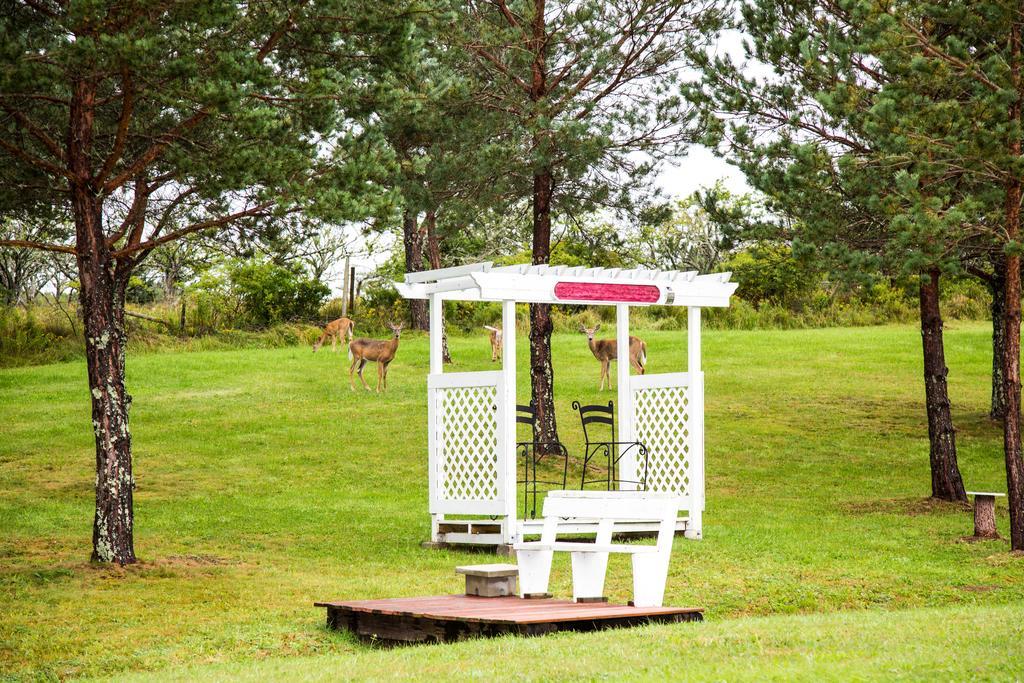 Wheelhouse Motel Lunenburg Exterior foto